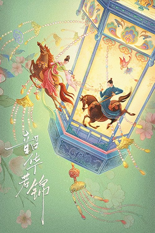 Thiều Hoa Nhược Cẩm